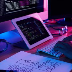 Web-Development-Agency-in-Camarillo